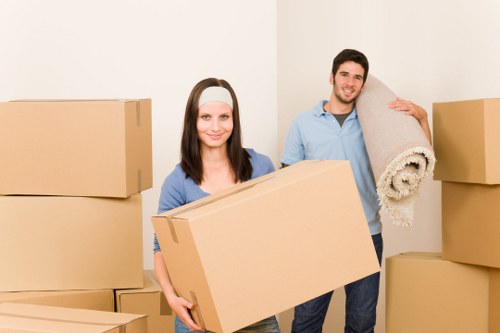 Truck hire options for furniture and appliance transport in Belmont